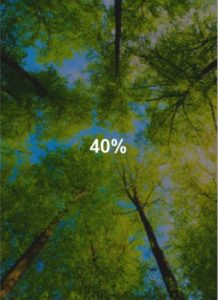 Kaca Film Riben AG 40% - 60% - 80% 3M BB + Instalasi - Gambar 2