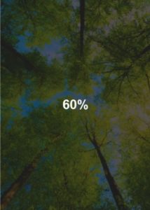 Kaca Film Riben AG 40% - 60% - 80% 3M BB + Instalasi - Gambar 3
