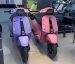 BIGGERS- Wrapping Sticker Motor PASTEL